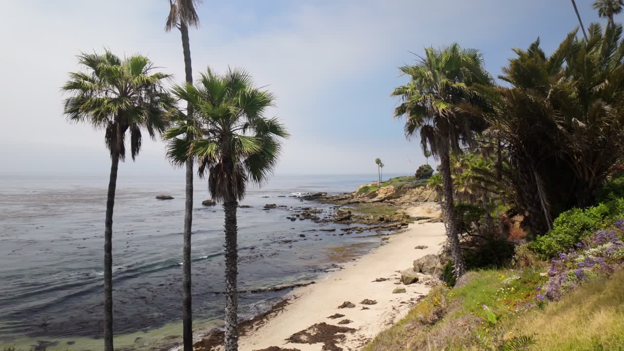 hermosa playa de la costa de california con palmeras - 4k clasificado