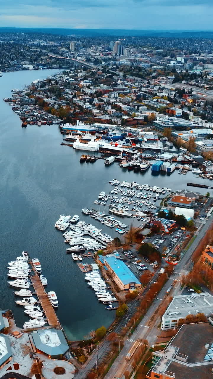 American urban drone view downtown. Aerial Seattle city landscapes. Vertical video