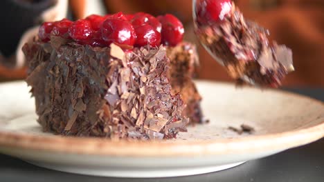 closeup of a chocolate cherry cake on a plate