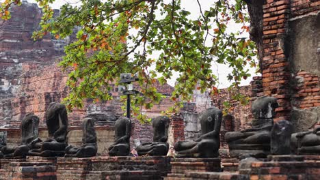 buddha statues amidst ancient ruins and greenery