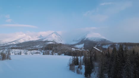 snowing in a national park in the european tatra mountains