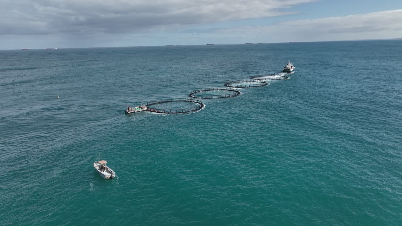 A Mid sized marine vessel tows four fish farms along the west Australian coast.