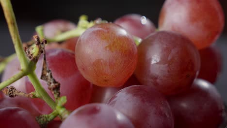 inspecting red grapes for rot and damage