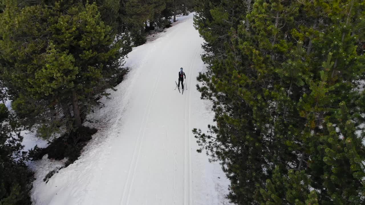 antena: esquiador de fondo profesional siguiendo una pista de esquí en el bosque visto desde arriba