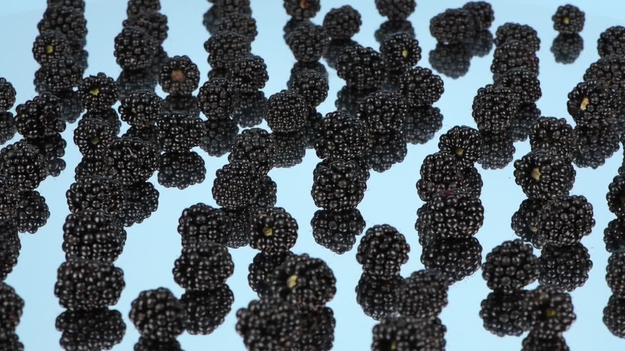 фрукты черной ягоды на светло-голубом зеркале. боковой вид. петлевое движение. вращение 360.