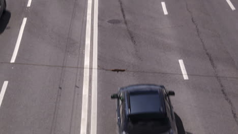 tráfico de automóviles en el centro de moscú