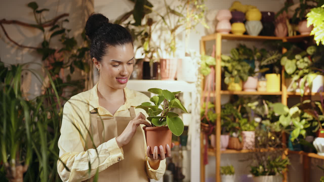 mujer trabajando en una tienda de plantas