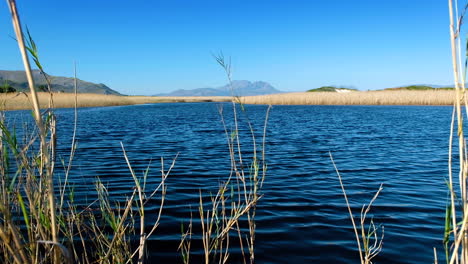 Windy-conditions-on-lagoon,-brown-tannin-rich-water,-mountain-background