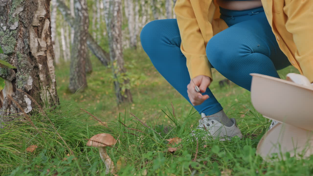Woman foraging mushrooms in birch forest wearing yellow jacket blue leggings carrying basket and hat kneeling on mossy ground gently harvesting edible mushrooms calm autumn light peaceful camping vibe