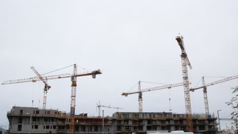 toma amplia de varias grúas trabajando en un sitio