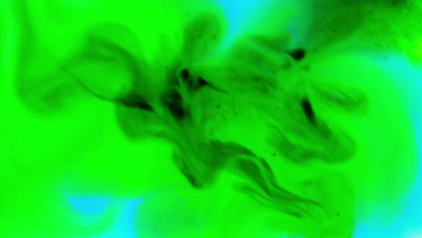 blue and green paint or dye dropped into water against white background to create swirling colourful smoke background 3