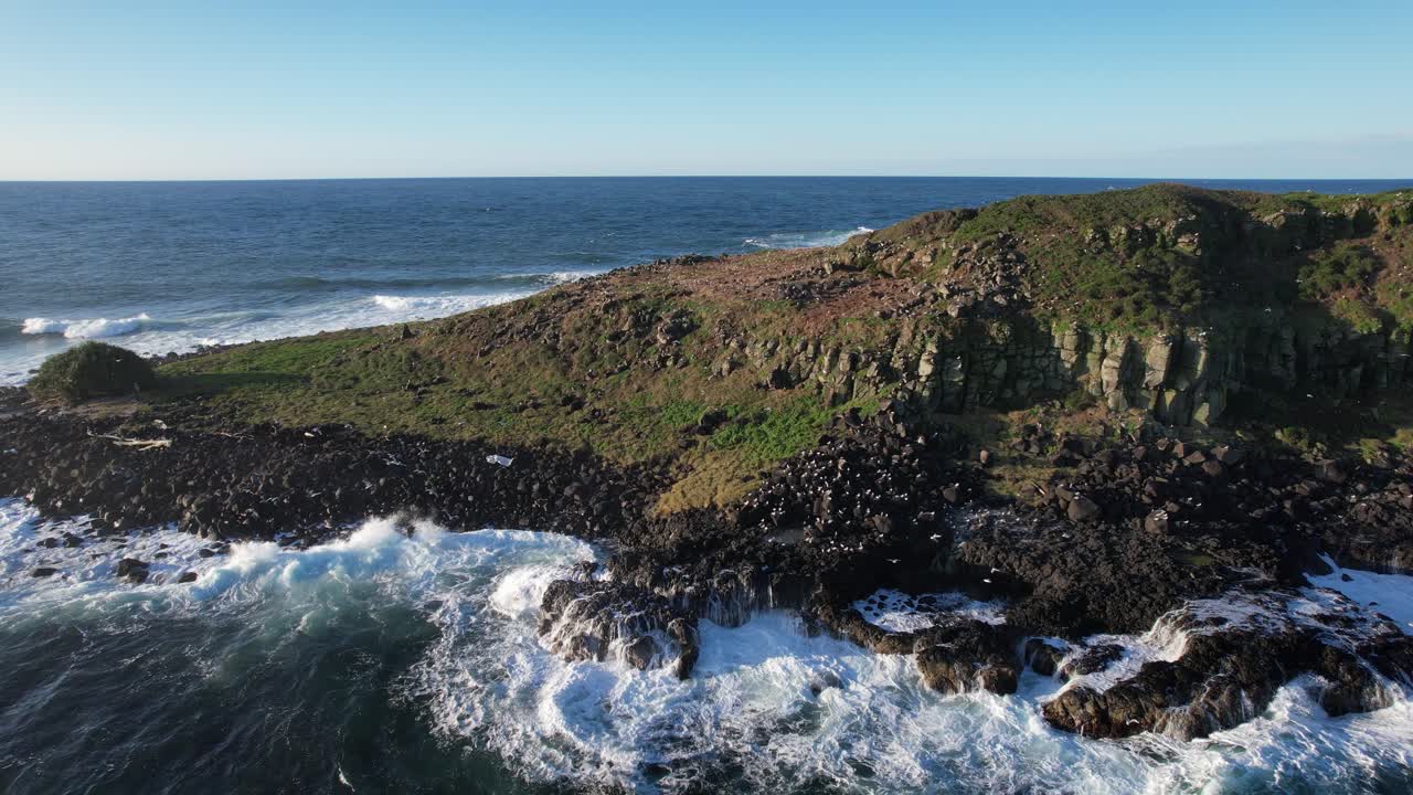 Strong Waves Hitting The Coastline Of Cook Island With Seagulls In NSW, Australia. - aerial shot