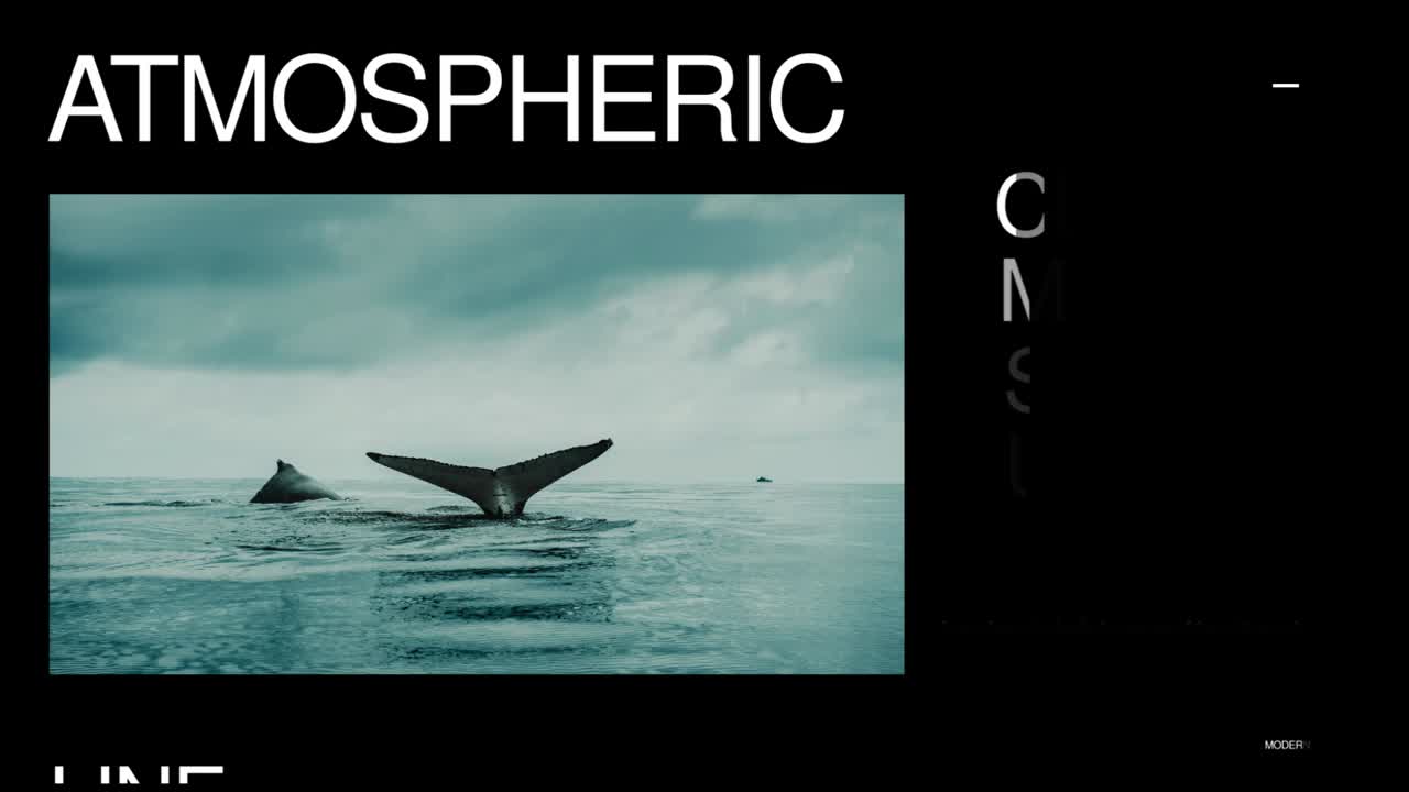 This Premiere Pro template includes 5 captivating vertical stories and square posts