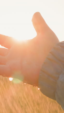 kid palms tenderly embrace tepid drops closeup. child revels in refreshing sensation of spring rain against skin in field. summer shower among nature