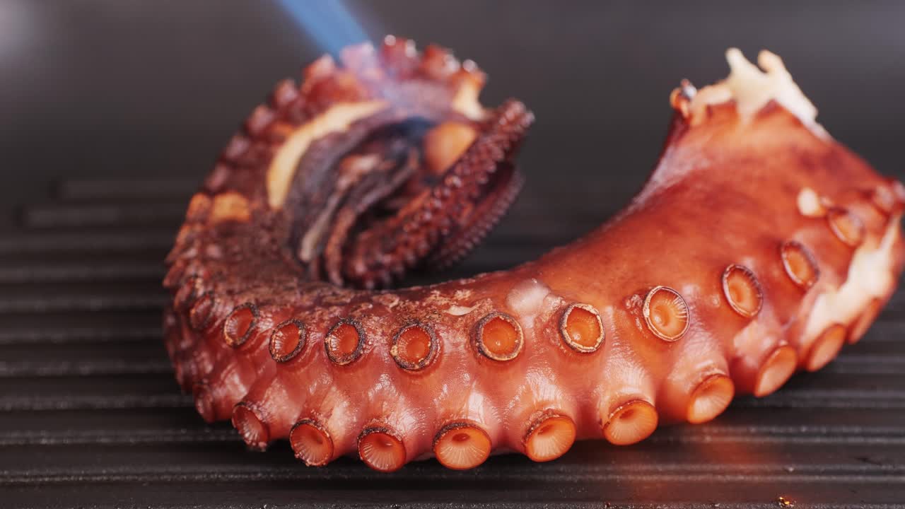 Octopus cooking, chef grill fresh octopus galician style on restaurant kitchen, healthy food, seafood cafe in spain, traditional asian japanese spanish and mediterranean dish.