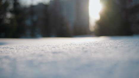 snow covered ground glistening under soft winter sunlight with bright glow casting across textured surface, background features blurred shadowy outlines of structures and trees