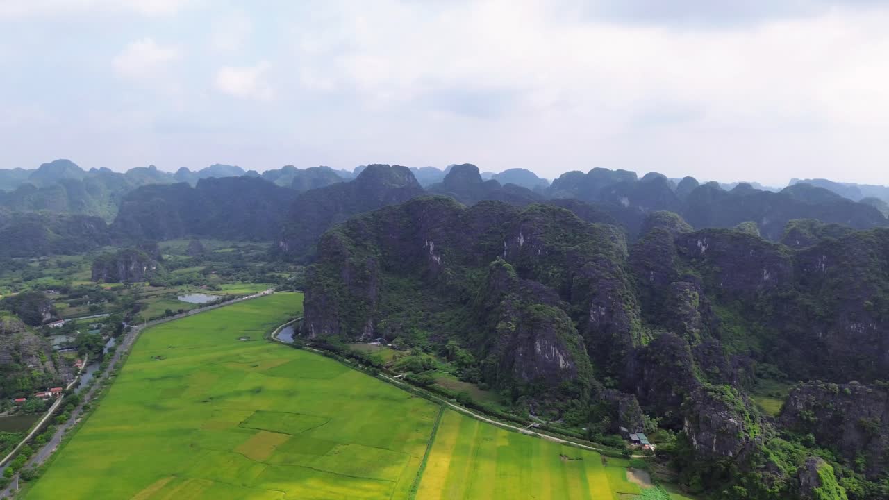 Aerial pan right over bright green rice fields and towering limestone formations in Ninh Binh, Vietnam, under soft daylight