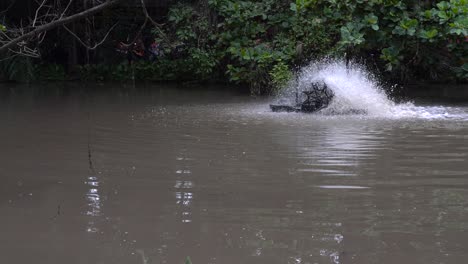 aerator turbine wheel fill oxygen into water