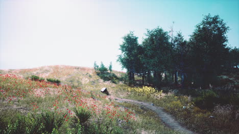 Sommerlandschaft-In-Den-Bergen-Und-Dem-Dunkelblauen-Himmel