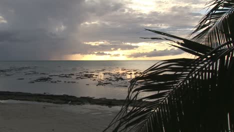 stock footage paradise