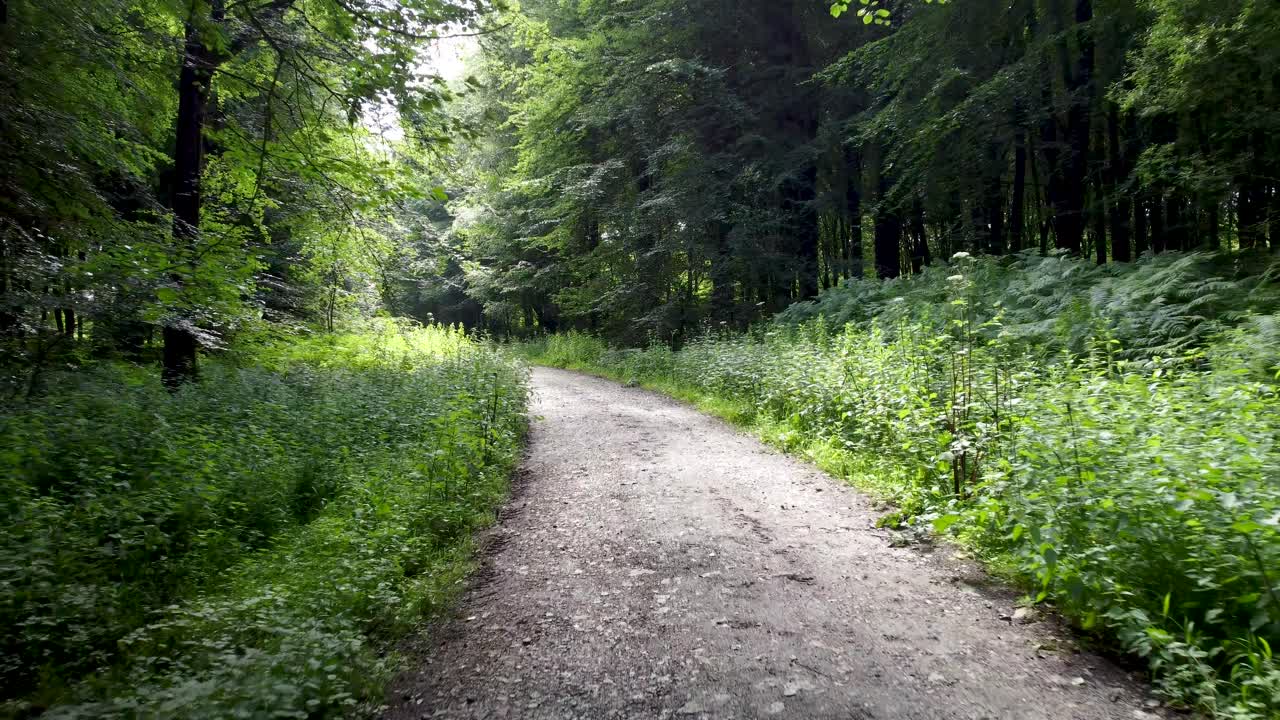 4K drone flying slowly over a track through the woods