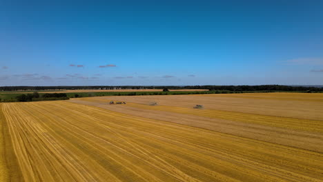 three-modern-combine-harvesters-and-a-tractor-with-a-trailer-work-in-the-field,-near-seashore-in-Puck