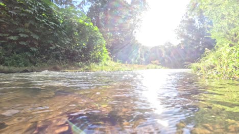 sunlight reflecting on a flowing forest stream