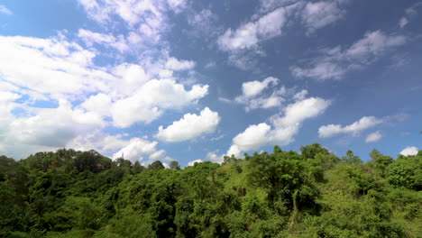 wide angle timelapse of blue sky and white clouds of lush green jungle vegetation