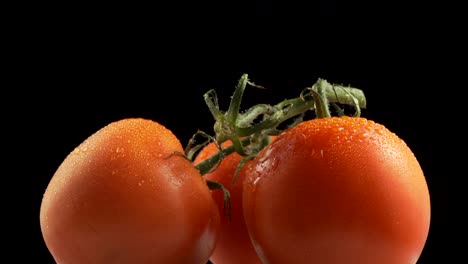 tres tomates ecológicos frescos