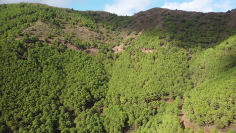 Forest-covered-hills-in-Andalusia-with-sun-shining-through-clouds,-aerial-view