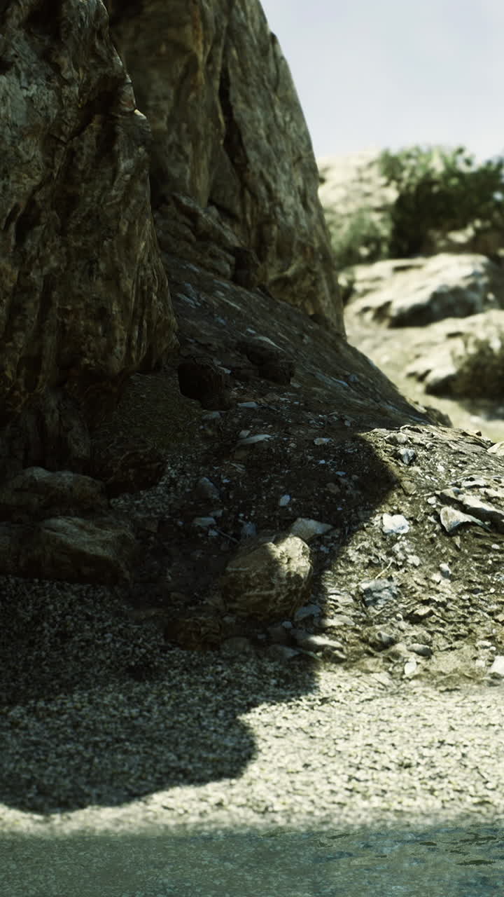 Terreno roccioso con vegetazione vicino a uno specchio d'acqua in pieno giorno