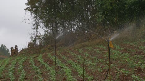 campo inclinado con rociadores de riego