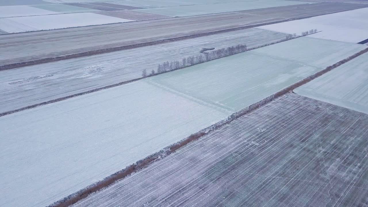 vista aérea de pájaros de los cultivos de invierno bajo la nieve, campos agrícolas de trigo de invierno bajo la nieve, día de invierno nublado, tiro de drones de gran altitud que se establece avanzando