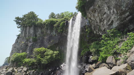 jeongbang falls on jeju island, south korea, during the spring, wide tilt down in 4k.