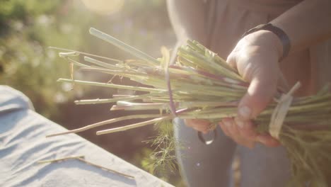 Cutting-flowers-into-a-bouquet