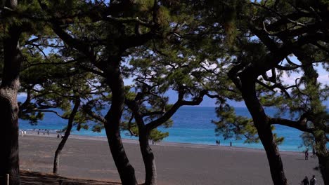 view out towards beautiful blue ocean in between silhouetted trees