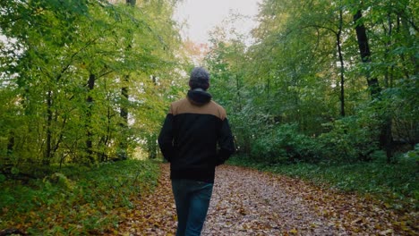 Un-Tipo-Alto-Con-Gorra-Camina-En-El-Bosque-De-Gyllebo-En-Otoño,-Österlen-Suecia---Tiro-Ancho-Medio-Siguiendo-Desde-Atrás