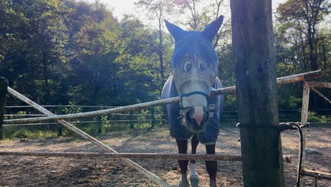 caballo en el paddock con una divertida máscara de protección contra moscas cómicas