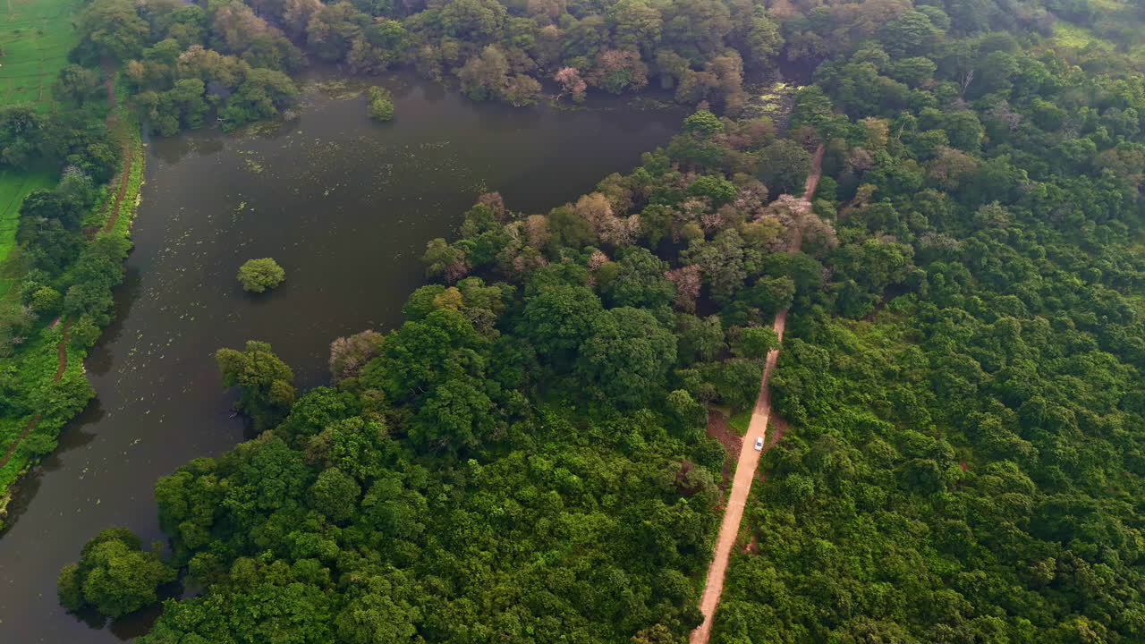 Vista aérea da zona rural de Sigiriya com uma lagoa escura rodeada por uma densa floresta tropical e uma estrada de terra reta cortando a exuberante paisagem verde no Sri Lanka
