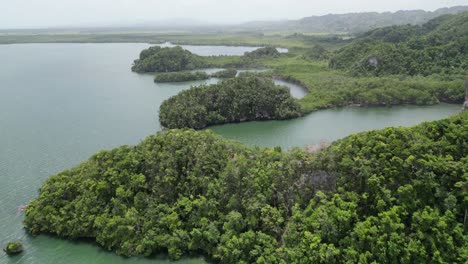 aerial view of los haitises national park in the samaná bay in the dominican republic