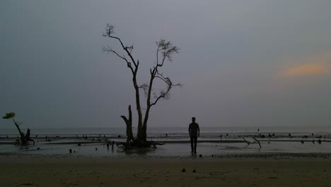 Silueta-De-Un-Hombre-Caminando-Por-La-Costa-Con-Un-Manglar-Aislado-Durante-La-Puesta-De-Sol