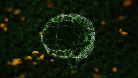 animación del cerebro humano sobre rocas que se mueven sobre un fondo negro