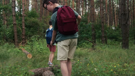 Children-at-the-forest