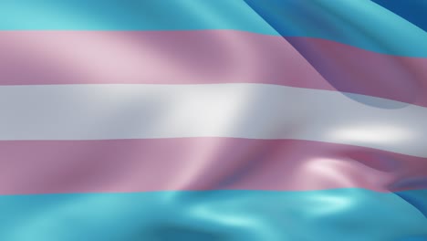 transgender pride flag