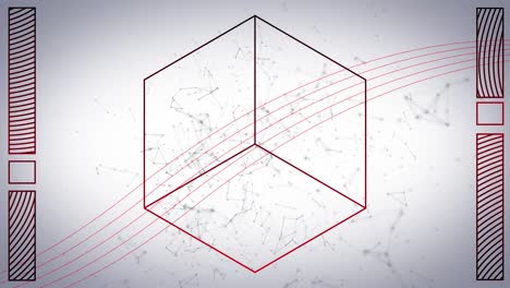 animation of cube and parallel over network of connections moving on white background