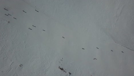 Static-top-view-of-skiers-descending-snowed-ski-slope