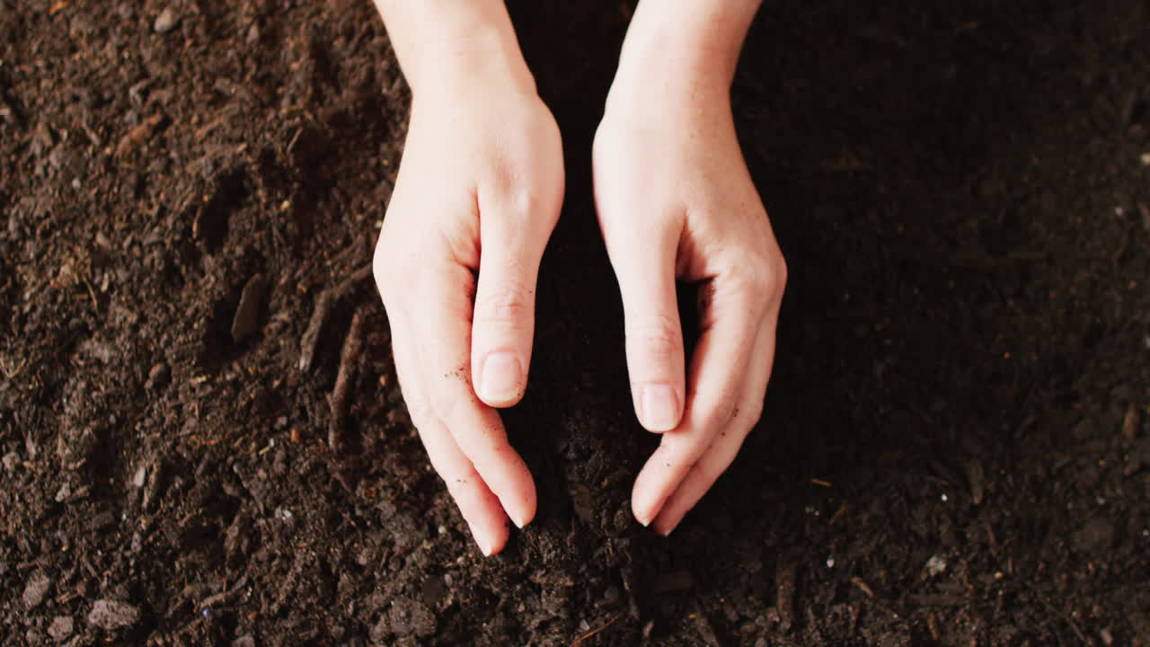 video de arriba de las manos de una persona caucásica recolectando y recogiendo tierra oscura rica