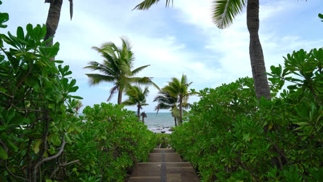 Camino-A-Pie-Con-Palmeras-De-Coco-Y-Fondo-Marino