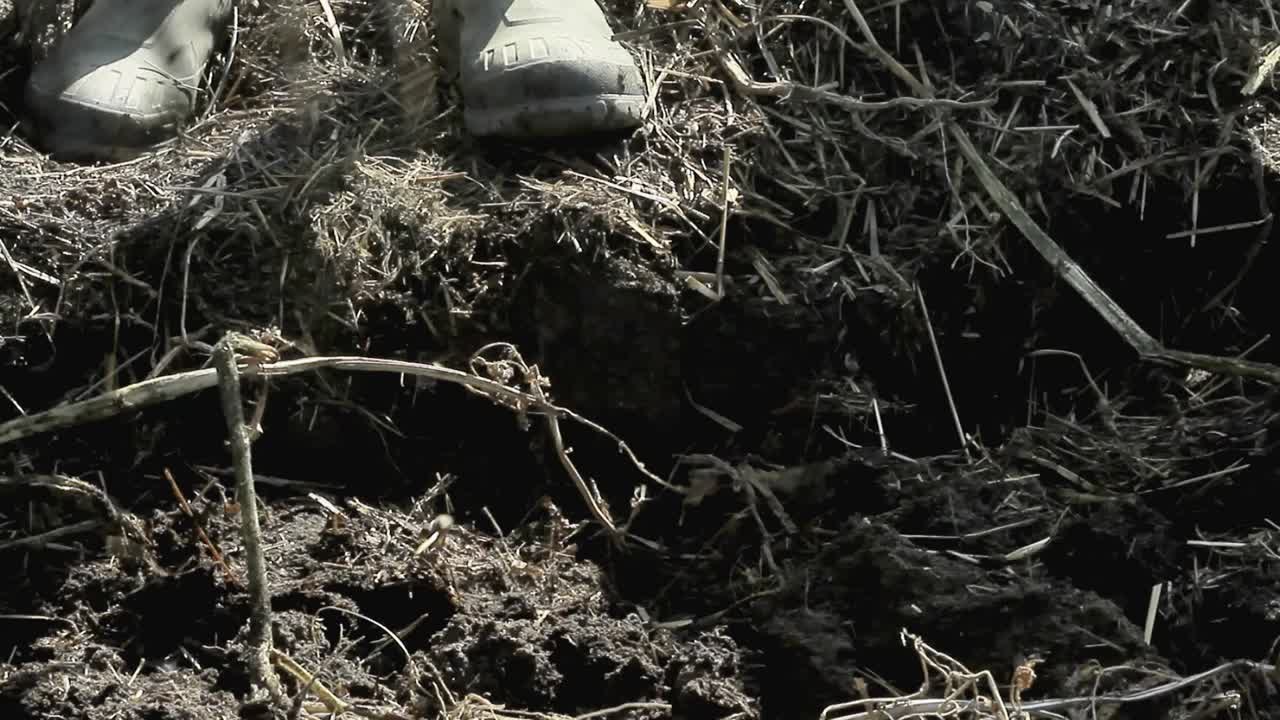 사람들과 함께 정원 포크로 정원을 파는 스 ⁇  이미지와 스 ⁇  사진