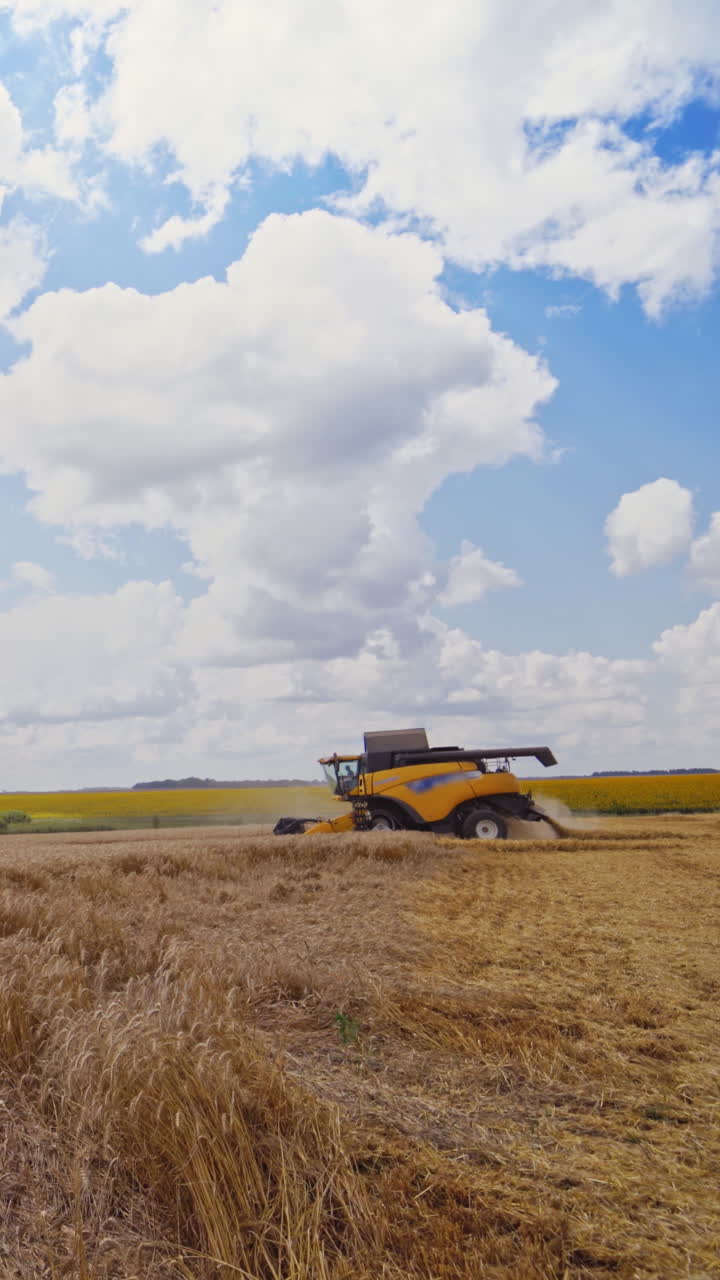 Harvesters working in the field. Combines working on the large wheat field Vertical video